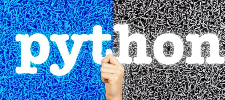 Strategies for optimizing Python Development Workflow