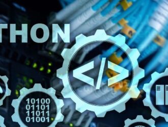 The Process of Hiring a Python Developer