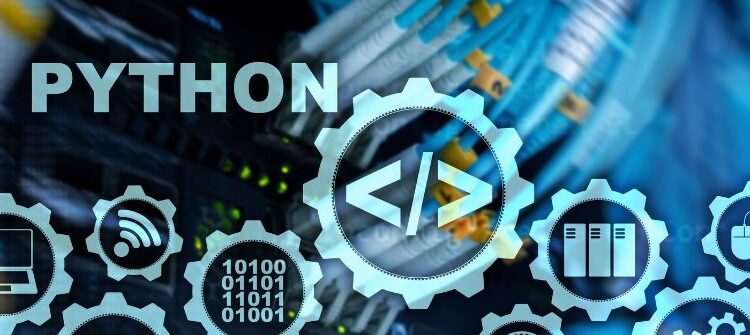 The Process of Hiring a Python Developer