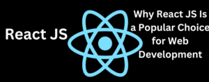 Why React JS Is a Popular Choice for Web Development